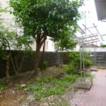 南側には樹木や家庭菜園ができるお庭があります