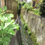 ハイム　ドマーニ　三島市栄町　内観