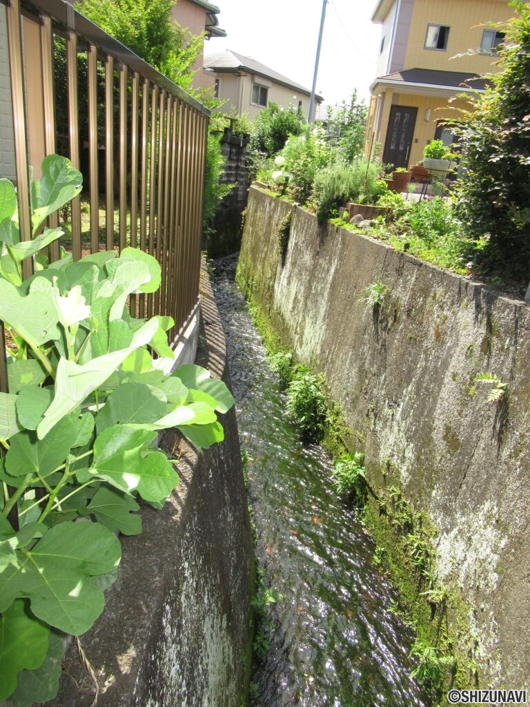 ハイム　ドマーニ　三島市栄町　内観