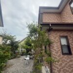 広々としたお庭です。