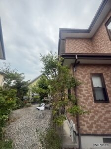 広々としたお庭です。
