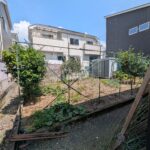 庭にはキンカン、みかん、、かぼす、すだちが育っています。