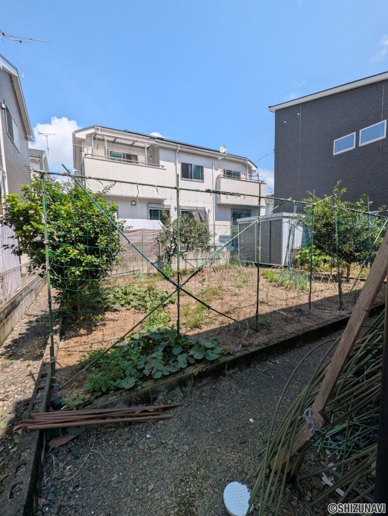 庭にはキンカン、みかん、、かぼす、すだちが育っています。