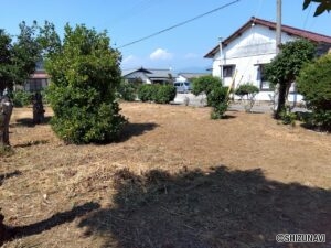 三島市安久　売り土地　現地