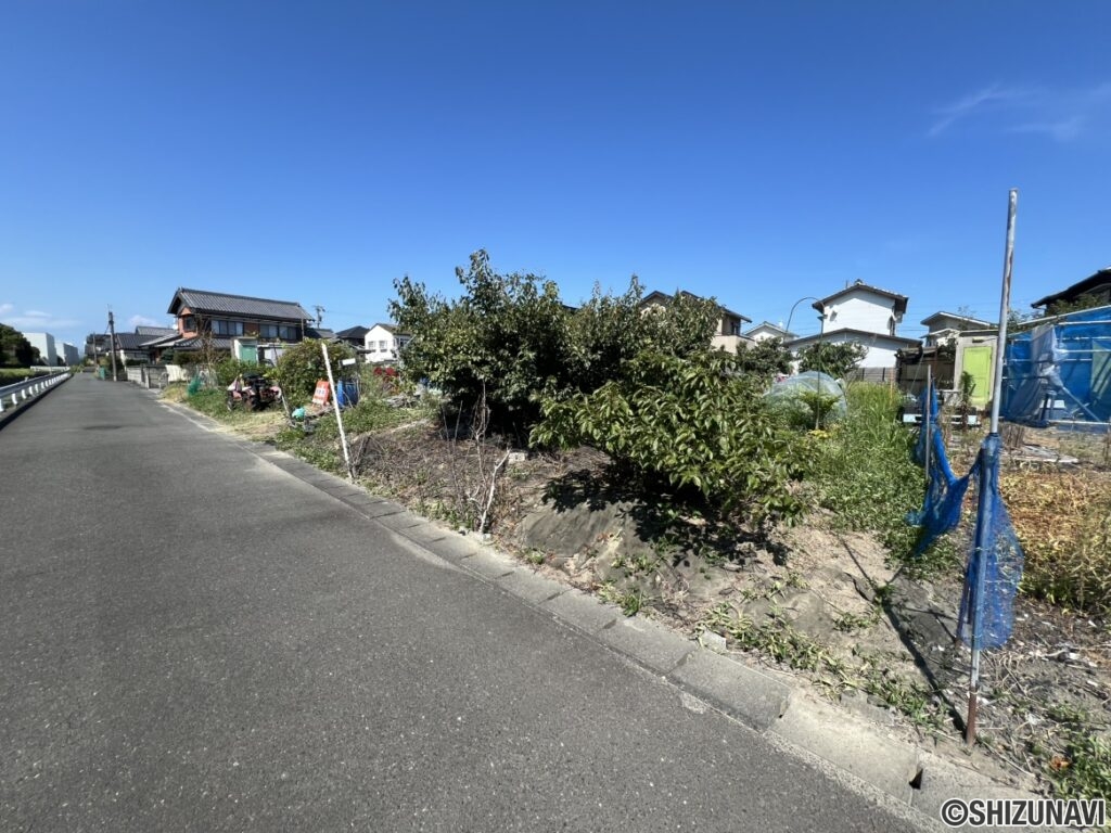 外観（南側から撮影）