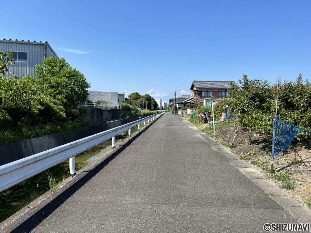 前面道路（南側から撮影）