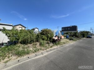 外観（北側から撮影）