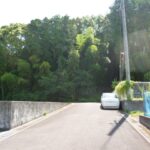 西面道路　北から南