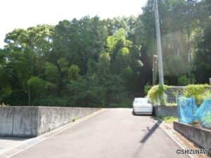 西面道路　北から南