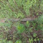 敷地の境にはブロックが入っています。