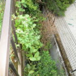 御殿場市西田中　売土地　外観
