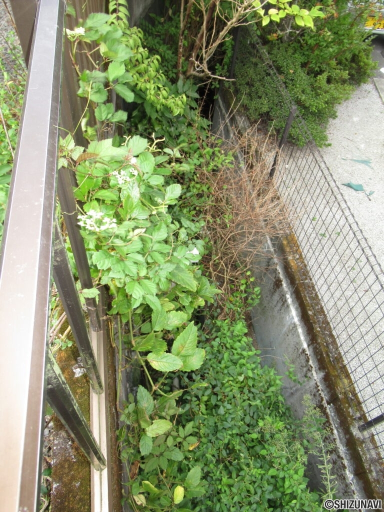 御殿場市西田中　売土地　外観