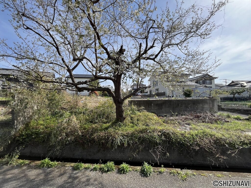 富士市宮島　250坪以上の住宅用地　富士市立富士南小・富士南中学区の画像