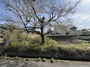 富士市宮島　250坪以上の住宅用地　富士市立富士南小・富士南中学区の画像