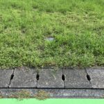 掛川市西大渕　売り土地の画像