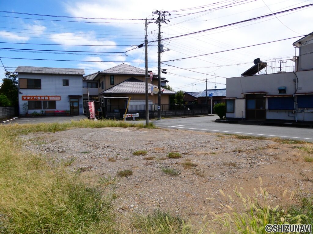 現地（敷地内から）