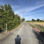 前面道路①