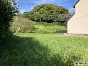 南側からの撮影　別角度からです。