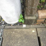 三島市徳倉三丁目 ヘーベルハウス 境界