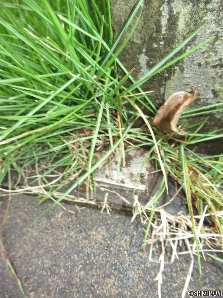 三島市徳倉三丁目 ヘーベルハウス 境界