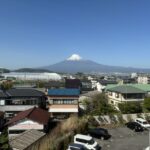 廊下からの眺望
