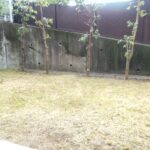 エンブルヒルズ東源台　209号　専用庭付き角部屋の画像