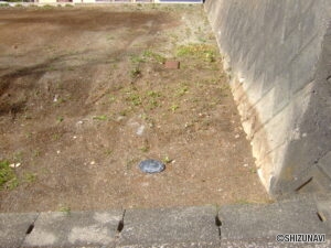 下長窪土地外観9