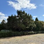 沼津市小諏訪　中古住宅　4DKの画像