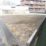 南西側より撮影