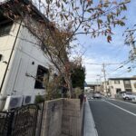 敷地内には桜の木がございます。春になれば花が咲きますので、春が来るのが楽しみになるお家です。