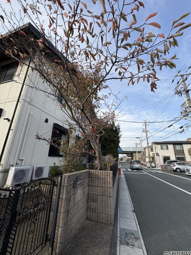 敷地内には桜の木がございます。春になれば花が咲きますので、春が来るのが楽しみになるお家です。