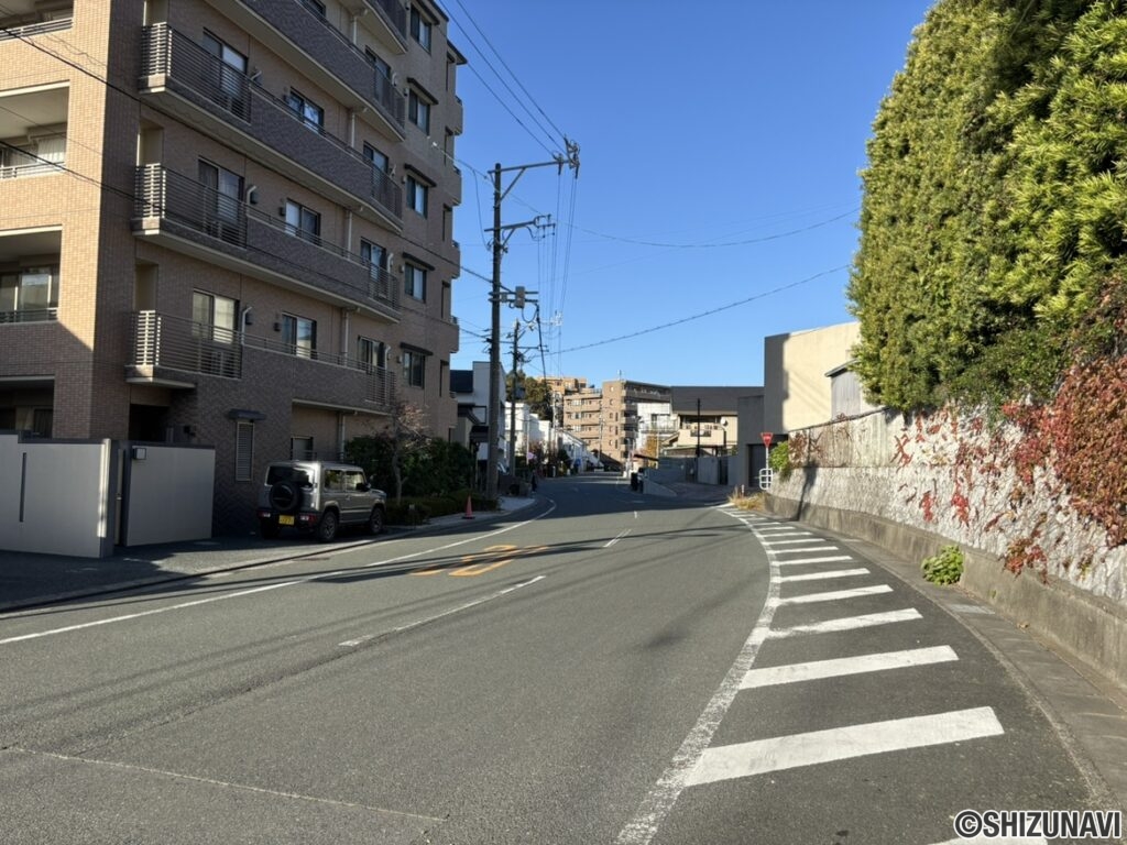 マンション目の前の道路のお写真です。