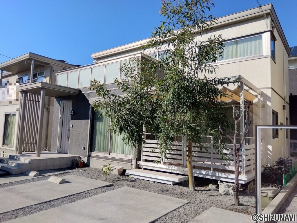 家庭運・健康運を上げる風水効果があると言われるユーカリの木