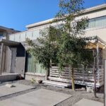 家庭運・健康運を上げる風水効果があると言われるユーカリの木