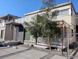 家庭運・健康運を上げる風水効果があると言われるユーカリの木