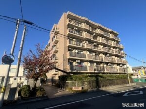 【仲介手数料不要】ロイヤルシャトー藤枝高洲603　2LDKの物件画像