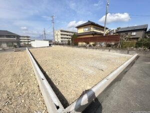 D区画(2026/03/06撮影)