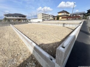 B区画(2026/03/06撮影)