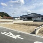 B区画(2026/03/06撮影)