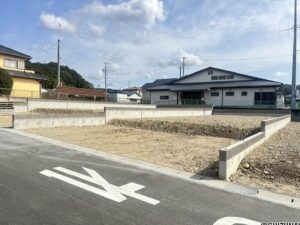 B区画(2026/03/06撮影)