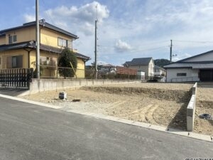 D区画(2026/03/06撮影)