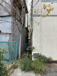 三島市大場　建築条件なし　売土地の画像