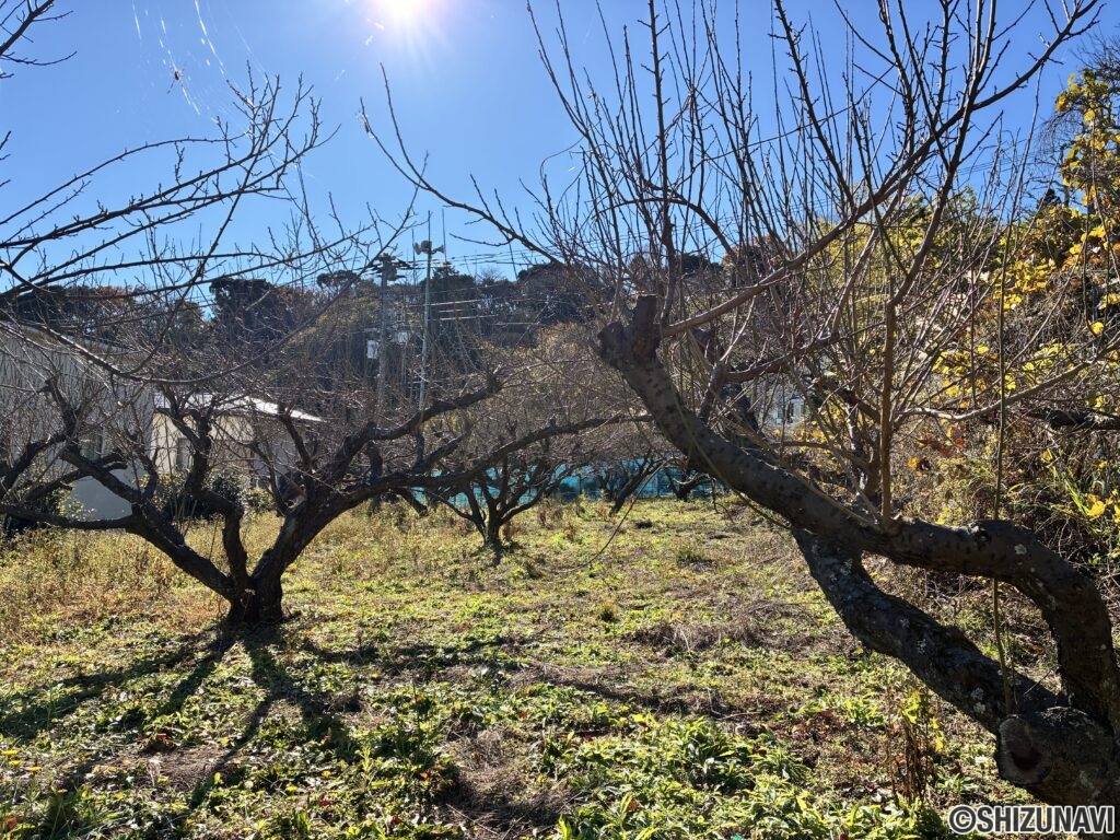 熱海市伊豆山　約150.34坪　建築条件無し　売土地の画像