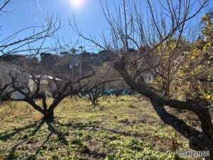 熱海市伊豆山　約150.34坪　建築条件無し　売土地の画像