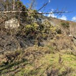 熱海市伊豆山　約150.34坪　建築条件無し　売土地の画像