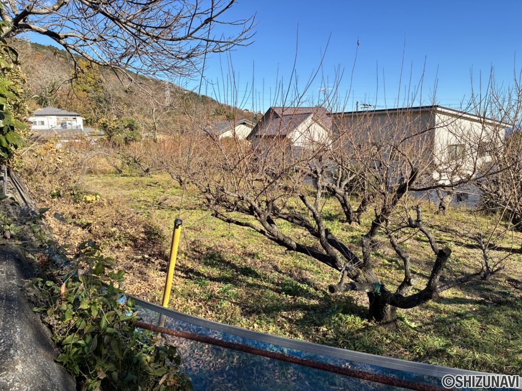 熱海市伊豆山　約150.34坪　建築条件無し　売土地の画像