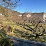 熱海市伊豆山　約150.34坪　建築条件無し　売土地の画像