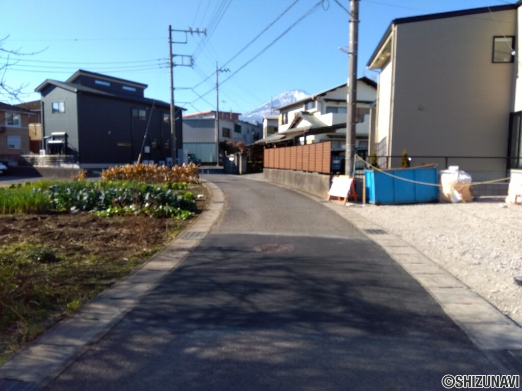 前面道路(西側)の写真です。
