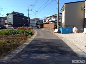 前面道路(西側)の写真です。