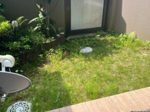 【仲介手数料不要】ナイスアーバン城北ヒルズ　101号室の画像